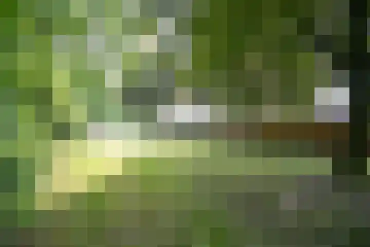 Korianderhof 283 Wierden thumbnail 4