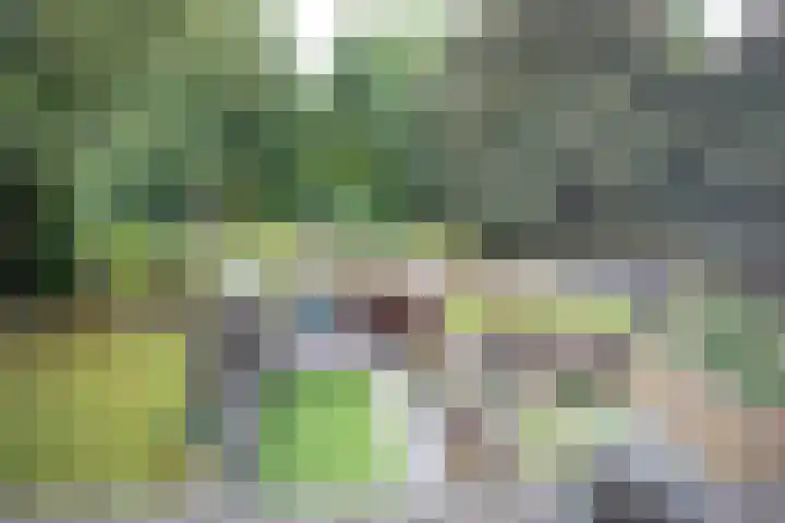 Korianderhof 283 Wierden thumbnail 47