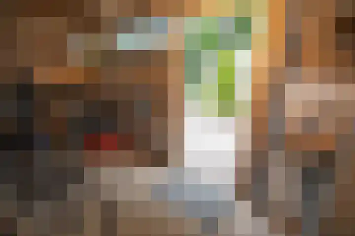 Korianderhof 283 Wierden thumbnail 60