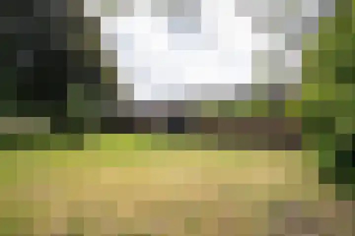 Korianderhof 283 Wierden thumbnail 63
