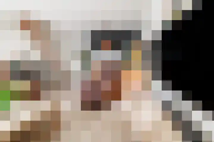 Korianderhof 37 Wierden thumbnail 17
