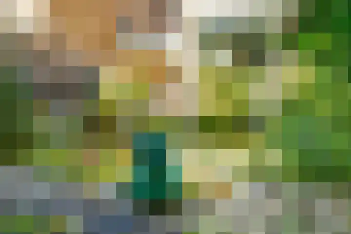 Korianderhof 37 Wierden thumbnail 38