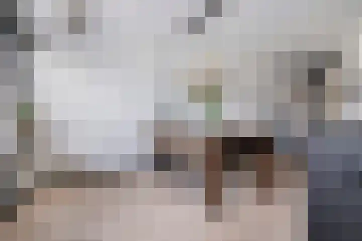 Korianderhof 46 Wierden thumbnail 10
