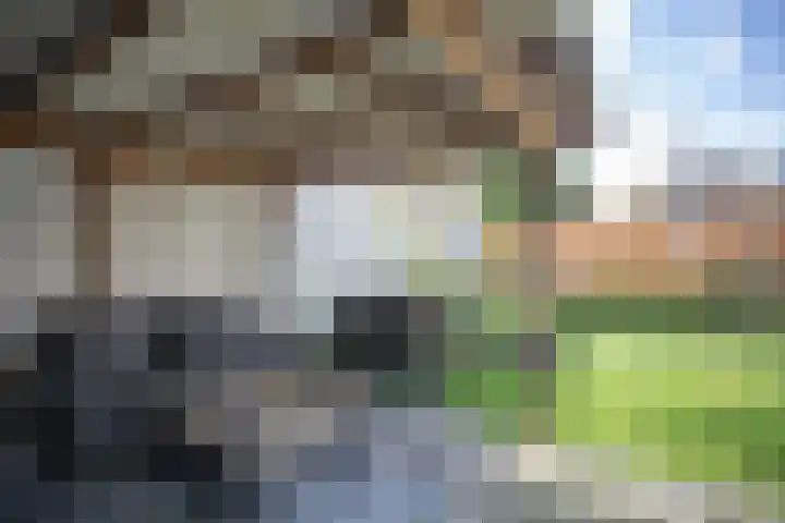 Korianderhof 46 Wierden thumbnail 31