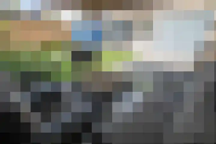Korianderhof 46 Wierden thumbnail 33