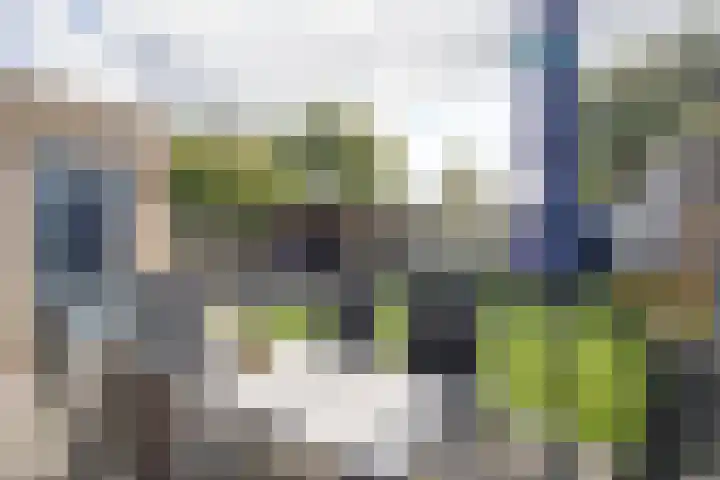 Korianderhof 46 Wierden thumbnail 35