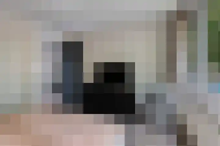 Korianderhof 46 Wierden thumbnail 38