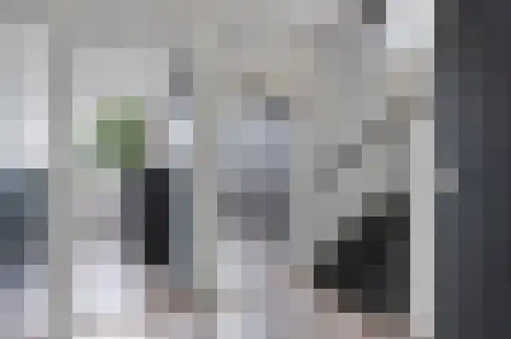Korianderhof 46 Wierden thumbnail 40