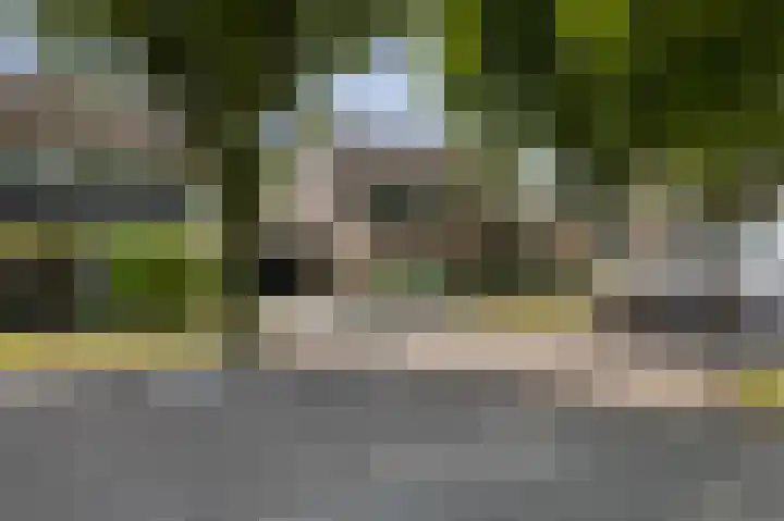 Korianderhof 46 Wierden thumbnail 52