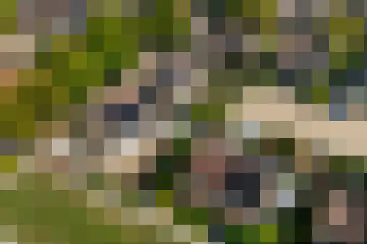 Korianderhof 46 Wierden thumbnail 55