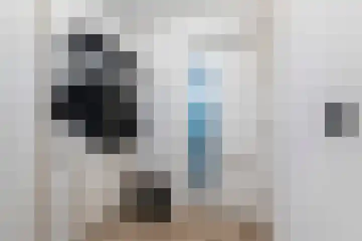 Korianderhof 46 Wierden thumbnail 8