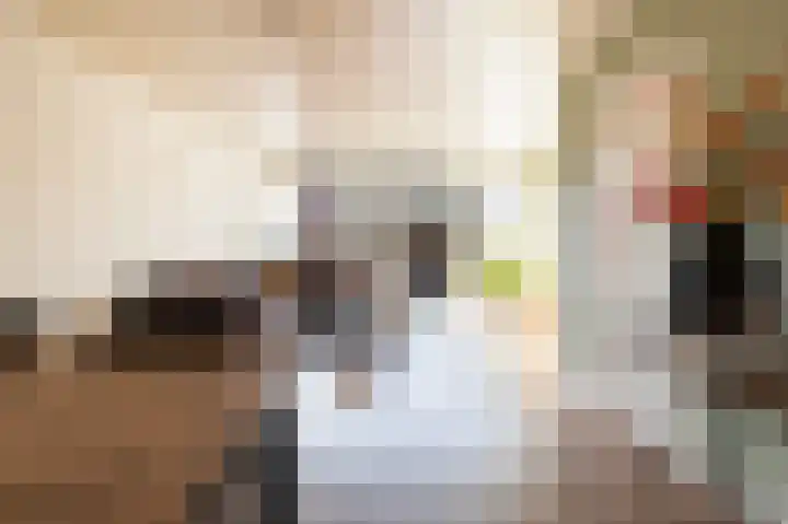 Korianderhof 5 Wierden thumbnail 14