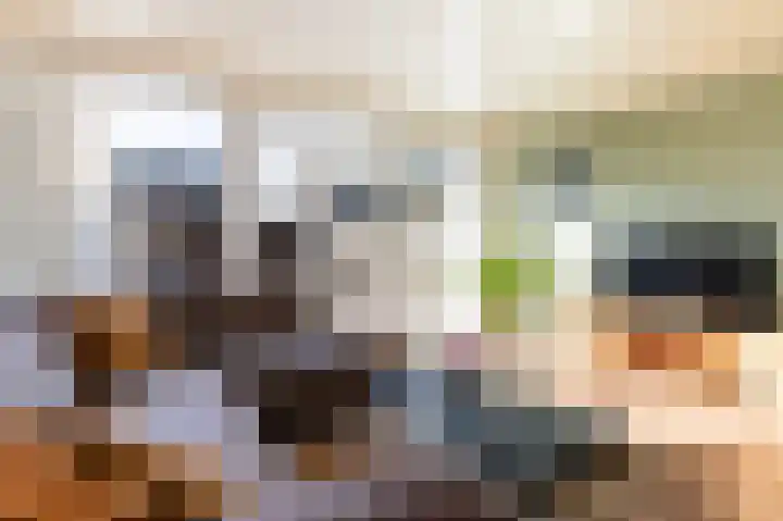 Korianderhof 5 Wierden thumbnail 17