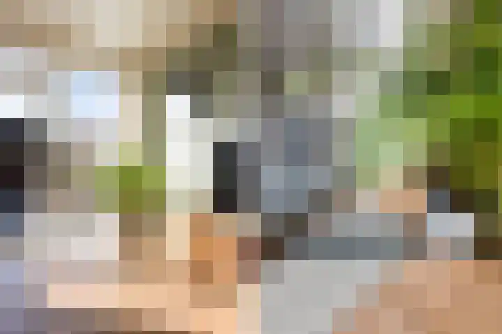 Korianderhof 5 Wierden thumbnail 19