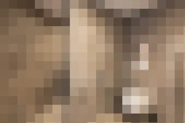 Korianderhof 5 Wierden thumbnail 26