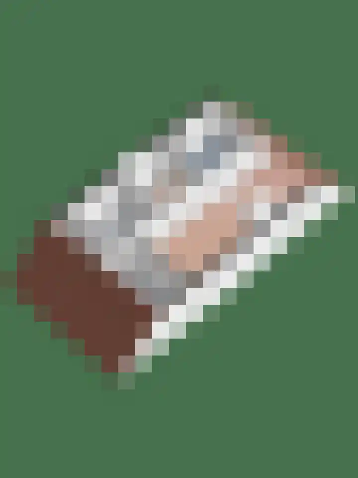 Korianderhof 5 Wierden thumbnail 46