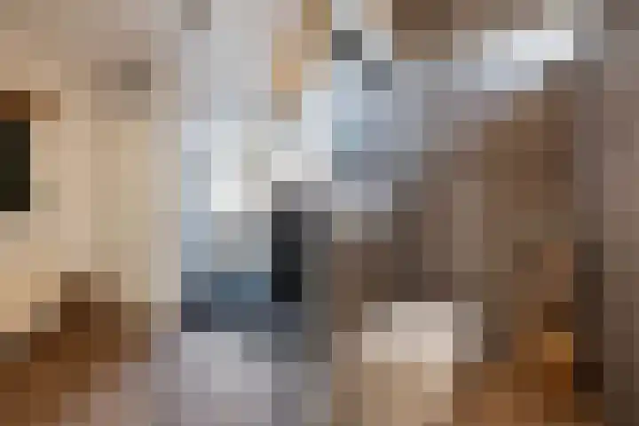 Korianderhof 5 Wierden thumbnail 8