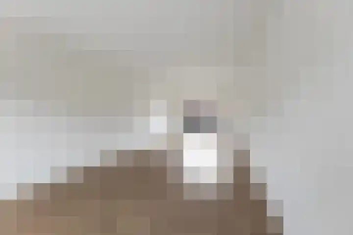 Korianderhof 57 Wierden thumbnail 14