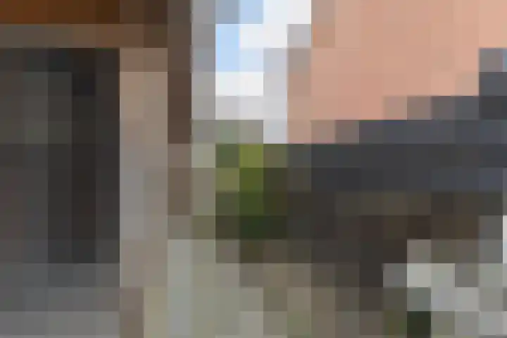 Korianderhof 57 Wierden thumbnail 37