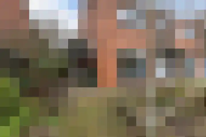 Korianderhof 57 Wierden thumbnail 43