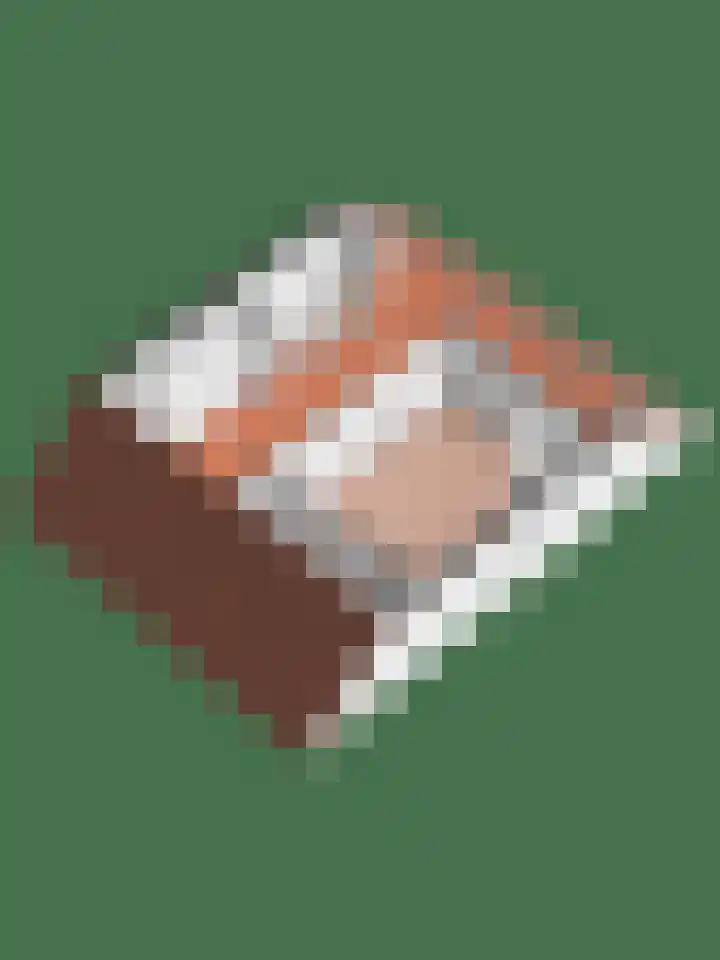 Korianderhof 57 Wierden thumbnail 54