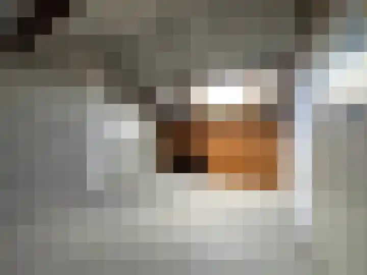 Korianderhof 67 Wierden thumbnail 24