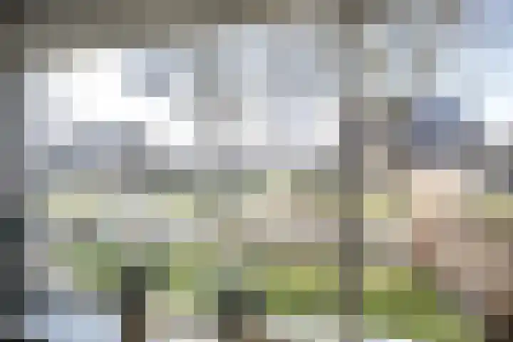 Korianderhof 72 Wierden thumbnail 11
