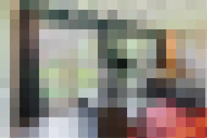 Korn 36 Dussen thumbnail 10