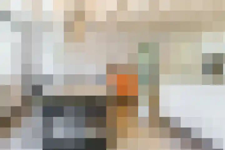 Korn 36 Dussen thumbnail 13