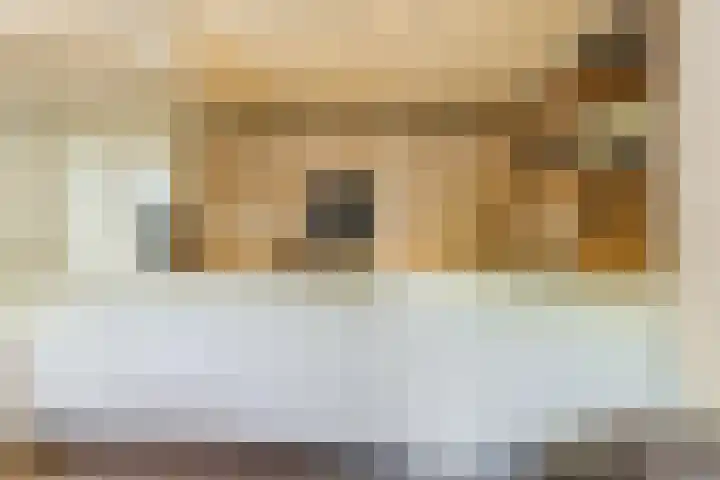Korn 36 Dussen thumbnail 16