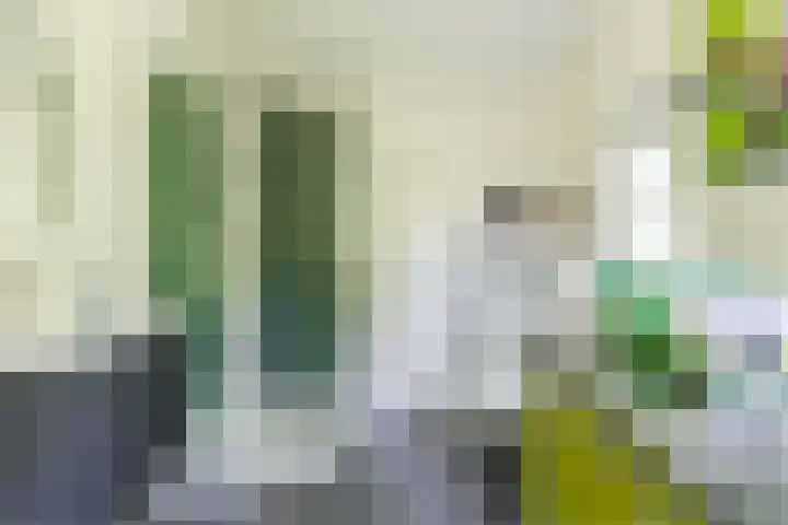 Korn 36 Dussen thumbnail 30