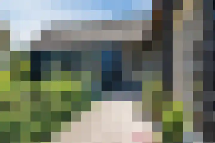 Korn 36 Dussen thumbnail 35