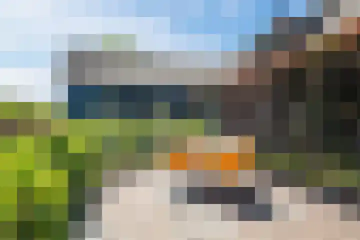 Korn 36 Dussen thumbnail 36