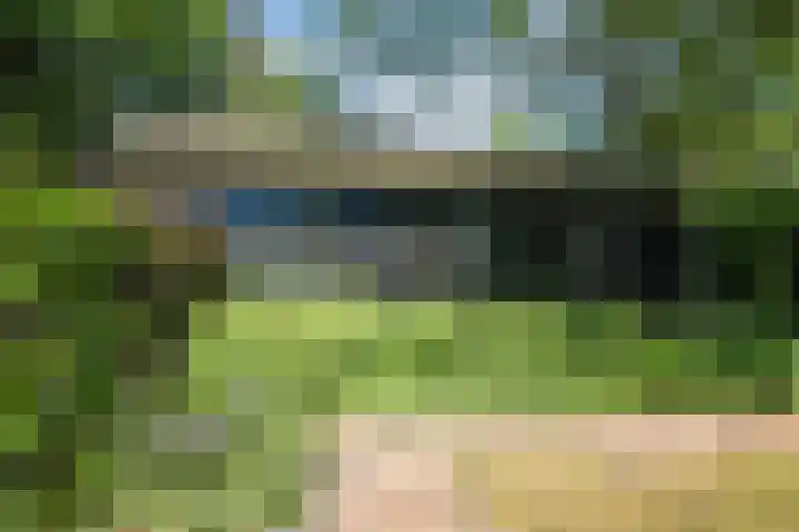 Korn 36 Dussen thumbnail 39