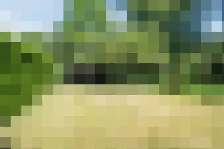Korn 36 Dussen thumbnail 42