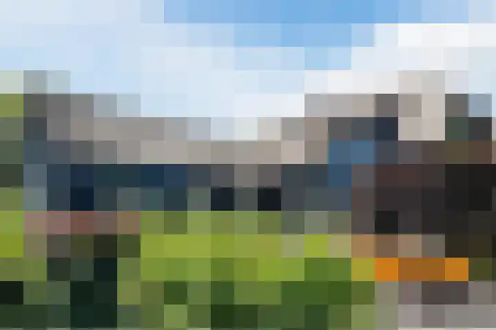 Korn 36 Dussen thumbnail 47