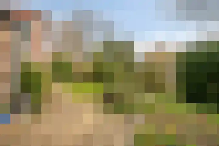 Kornet 34 Soest thumbnail 24