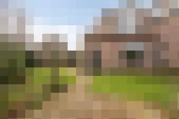 Kornet 34 Soest thumbnail 26