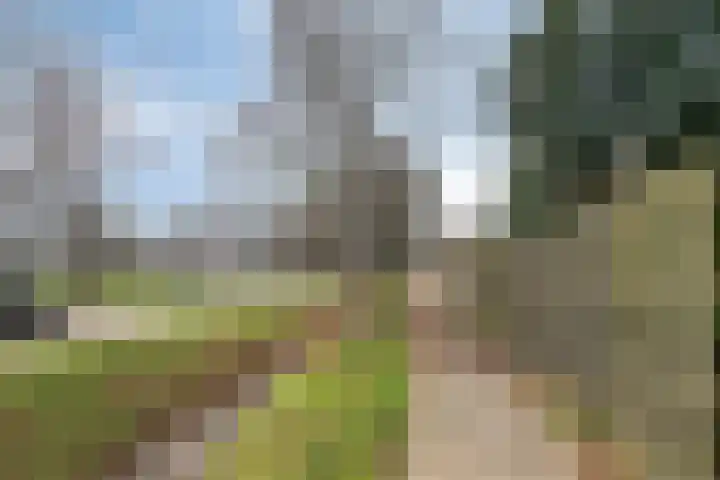 Kornet 34 Soest thumbnail 32