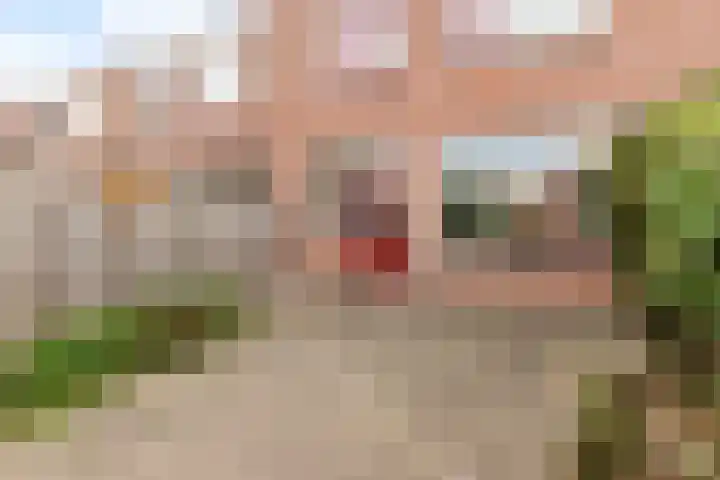 Kornwierde 113 Almere thumbnail 28