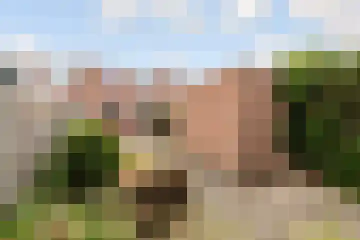 Kornwierde 113 Almere thumbnail 31