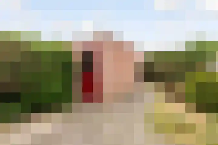 Kornwierde 113 Almere thumbnail 32