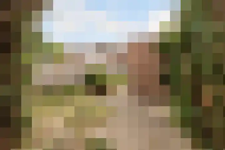 Kornwierde 113 Almere thumbnail 34