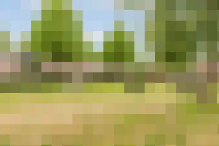 Kornwierde 113 Almere thumbnail 38