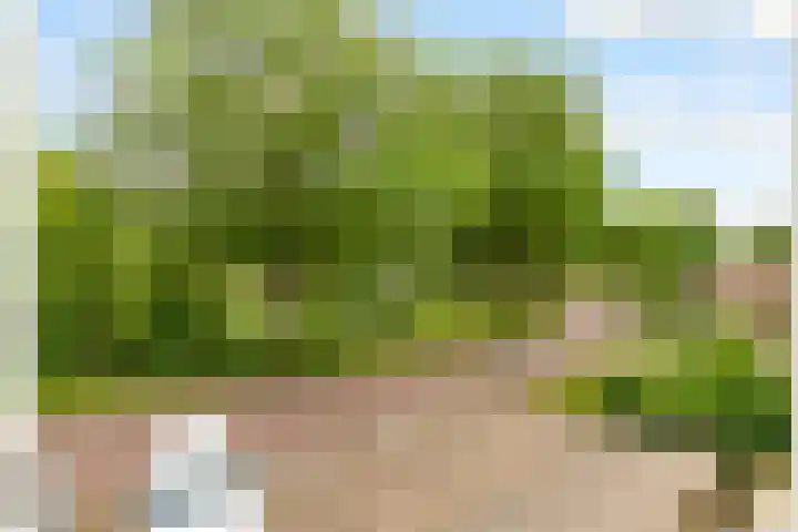 Kornwierde 204 Almere thumbnail 26