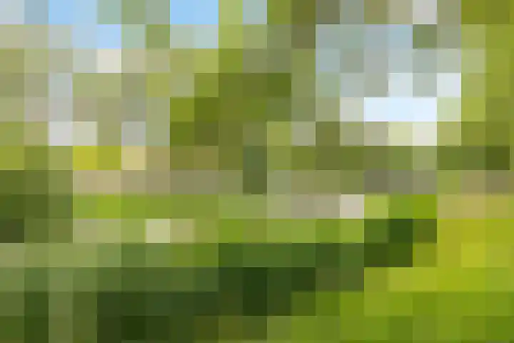 Kornwierde 204 Almere thumbnail 30