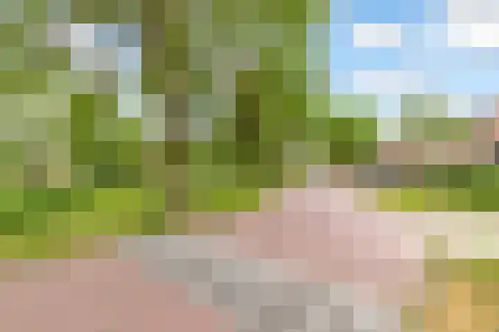 Kornwierde 204 Almere thumbnail 31