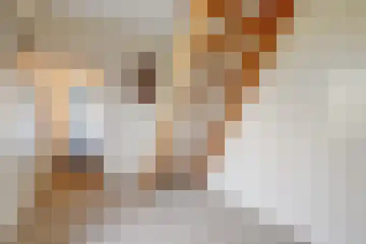 Korpersteeg 15 Ermelo thumbnail 21