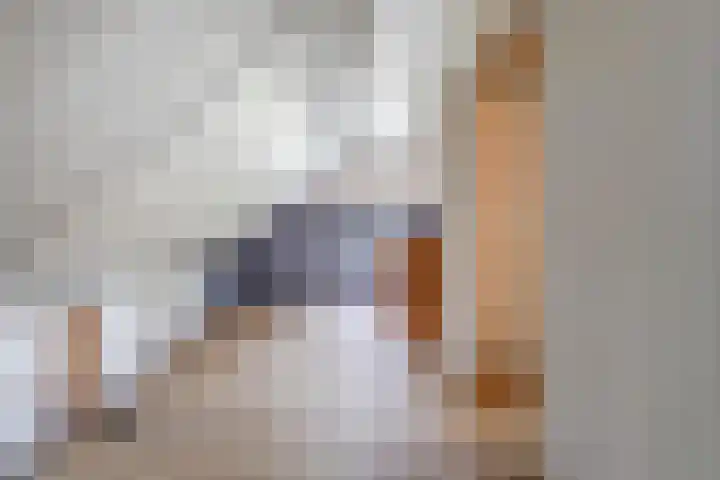 Korpersteeg 15 Ermelo thumbnail 23