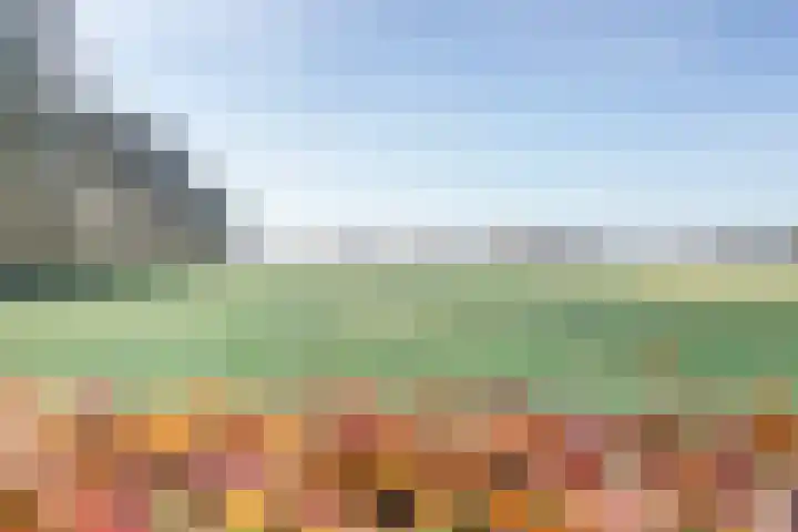 Korpersteeg 15 Ermelo thumbnail 48